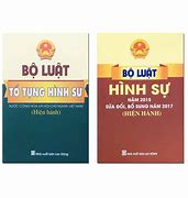 Điều 260 Bộ Luật Hình Sự Bl Chap